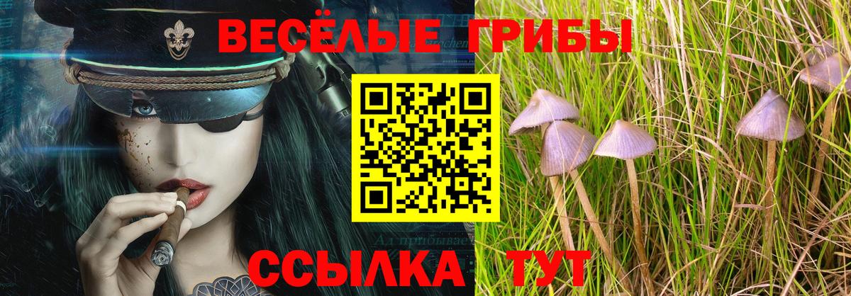 Псилоцибиновые грибы мицелий  Вход с VPN  Галлюциногенные грибы Psilocybe  Бирск 